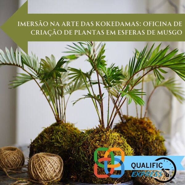 Como restaurar o cerrado trabalho de formiguinha %286%29