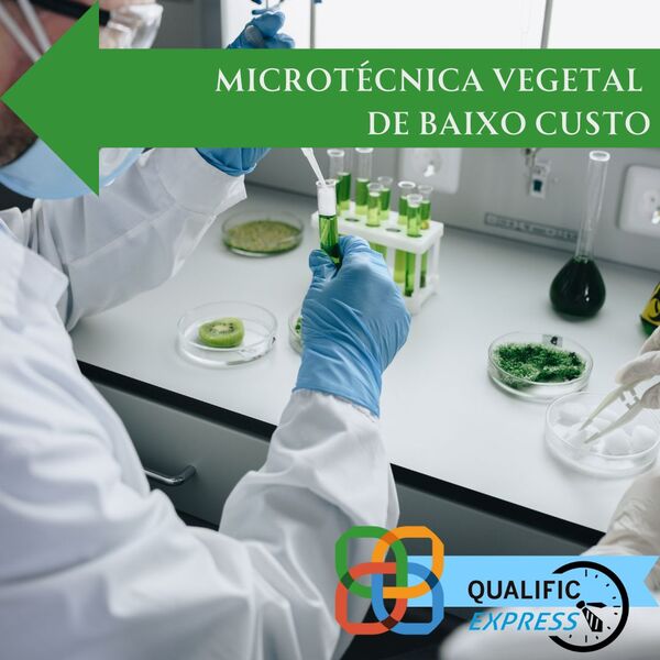 Como restaurar o cerrado trabalho de formiguinha %289%29