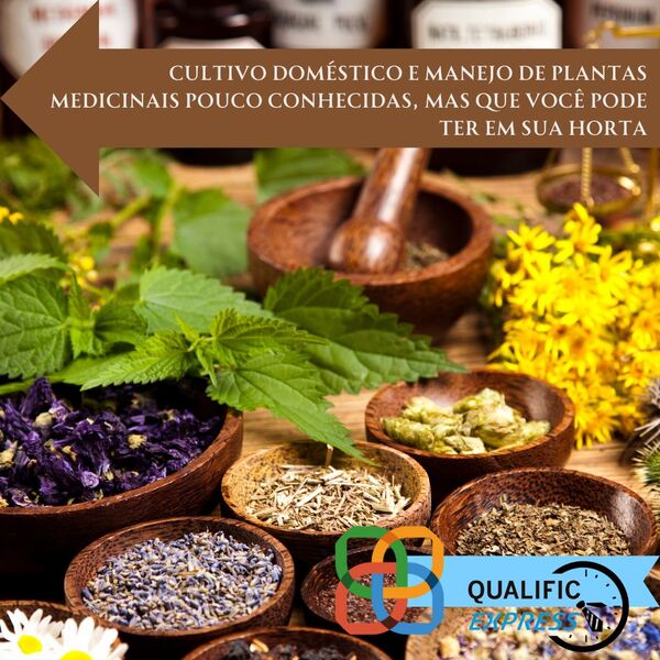 Como restaurar o cerrado trabalho de formiguinha %2815%29